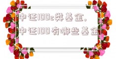 中证100c类基金,中证100有哪些基金