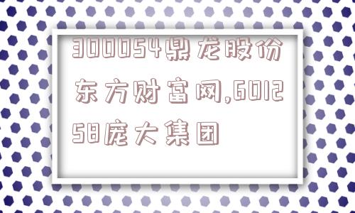 300054鼎龙股份东方财富网,601258庞大集团