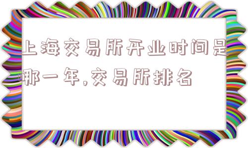 上海交易所开业时间是哪一年,交易所排名