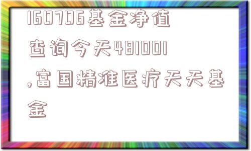 160706基金净值查询今天481001,富国精准医疗天天基金