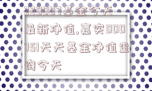 320007基金今天最新净值,嘉实000751天天基金净值查询今天