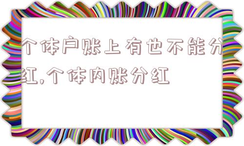 个体户账上有也不能分红,个体内账分红