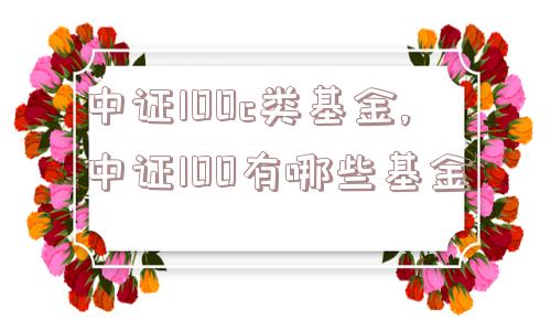 中证100c类基金,中证100有哪些基金